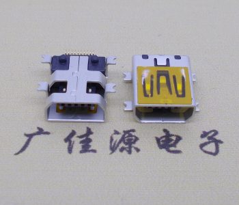 厦门迷你USB插座,MiNiUSB母座,10P/全贴片带固定柱母头