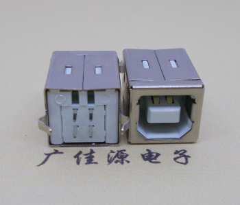 厦门USB BF180度母座 打印机接口 立式直插带赛