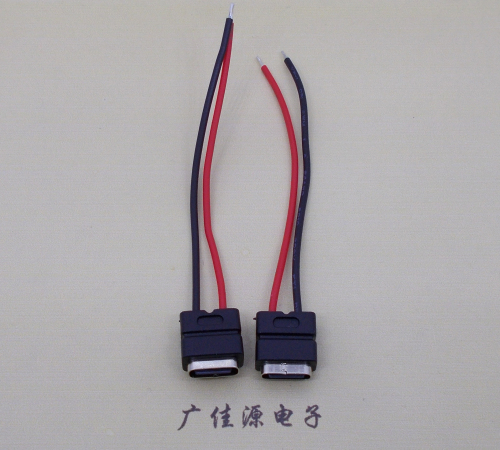 厦门type c2p防水母座焊线式带线注塑成型带接线端子/不带接线端子充电连接器