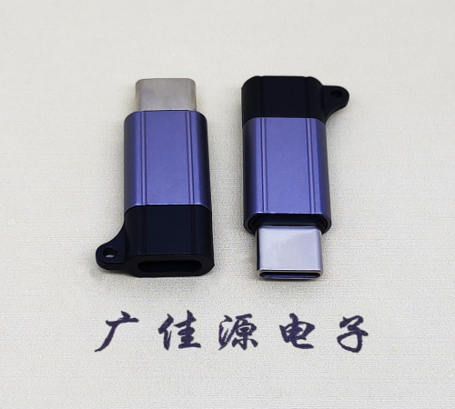 厦门Type-C母转Type-C公 USB3.1 PD100W快冲接口